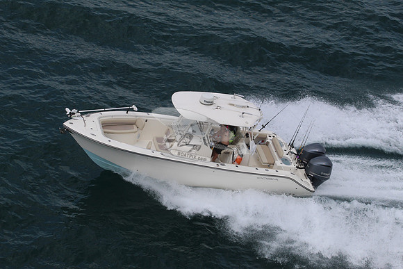 Cobia.2 yamaha.05