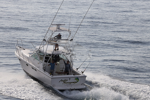 ANGLER MANAGEMENT.FTL.TIARA.07