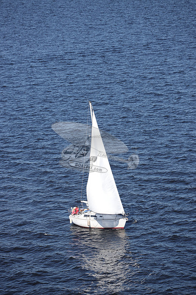 00000.FL6014SL.TAZZ.3738