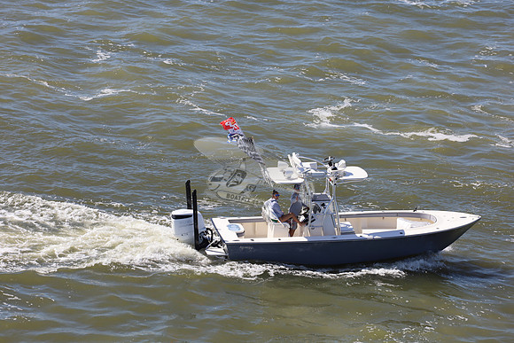 Avenger 25.gray.4