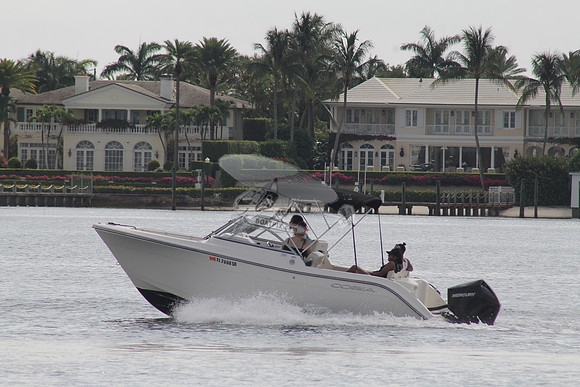 FL2608SR.12