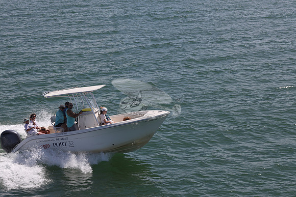 Barracuda.cobia.09