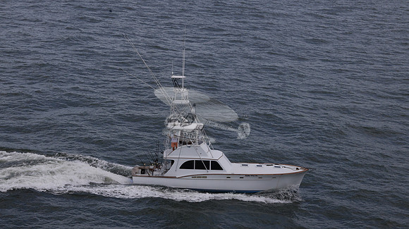 ballie who iii.islamorada fl.9525