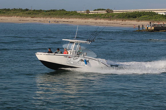 fl0335tf.3