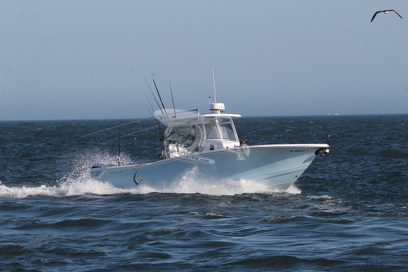 dl4893ak.tidewater.8144