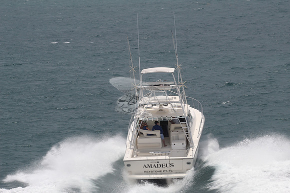 AMADEUS.KEYSTONE PT FL.02