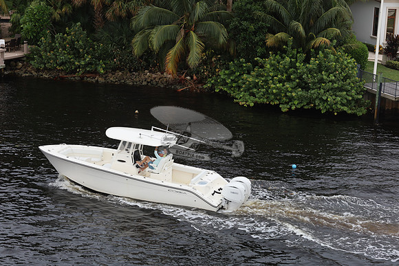 COBIA.WHITE.2YAMAHA.132