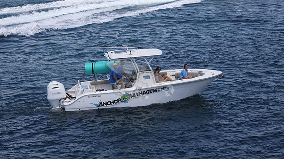 ANCHOR MANAGEMENT.SEA FOX.06