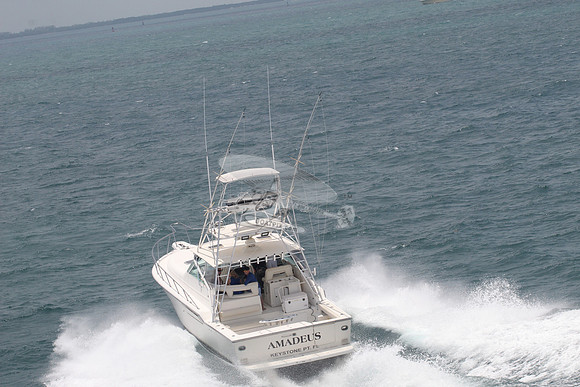 AMADEUS.KEYSTONE PT FL.09