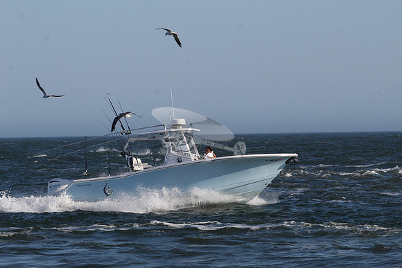 dl4893ak.tidewater.8146