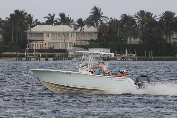 FL99 8SV.06