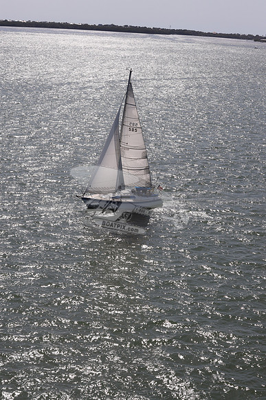 585.MS M..FL9900SM.18