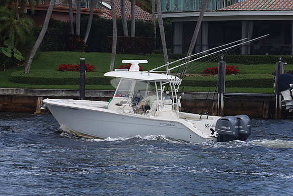DO1295610.SEA CRITTER.09