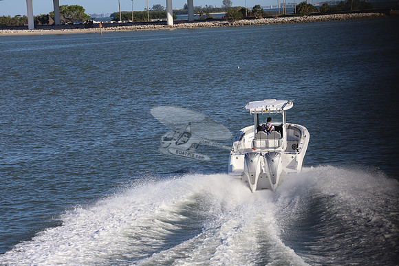 CLEAR TIDAL II.CLEARWATER FL.EVGLD.08