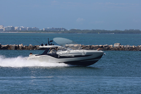 CHICKEN MONEY.AZIMUT.3