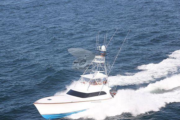 reel steel.9206