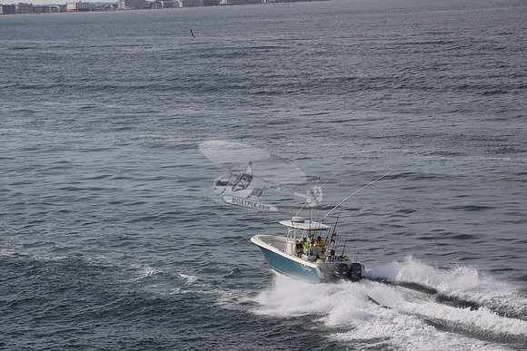 --2871ah.sailfish.blue hull.2772