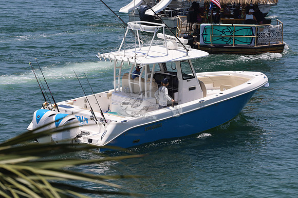 7 shark.ddestin.5