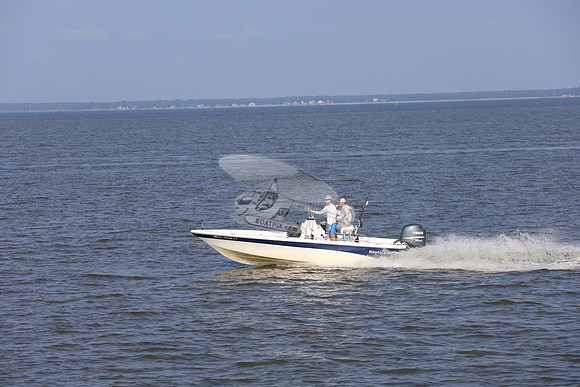al0048lt.11