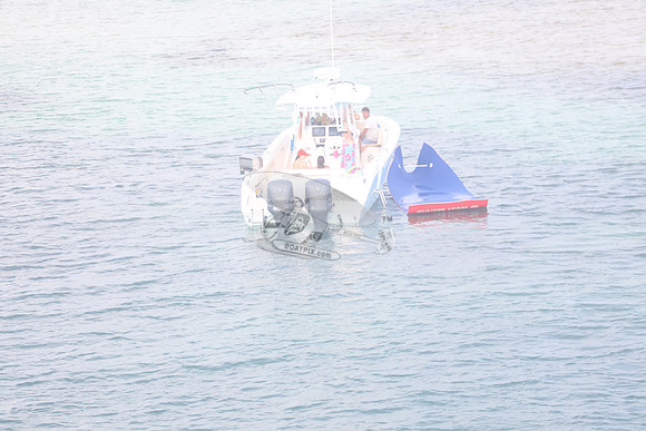 COBIA.104