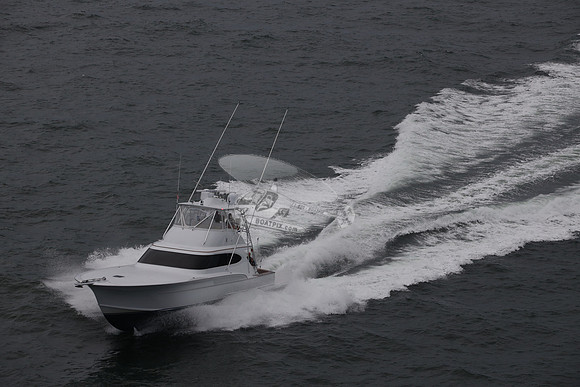 back n down.stuart.34