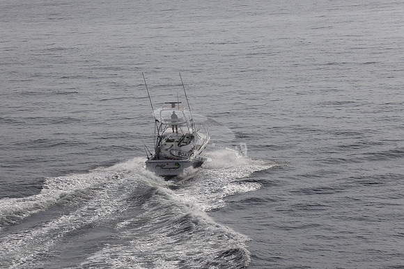 ANGLER MANAGEMENT.FTL.TIARA.01