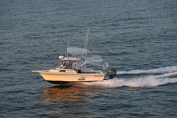 dl5059ac.seabum.8799