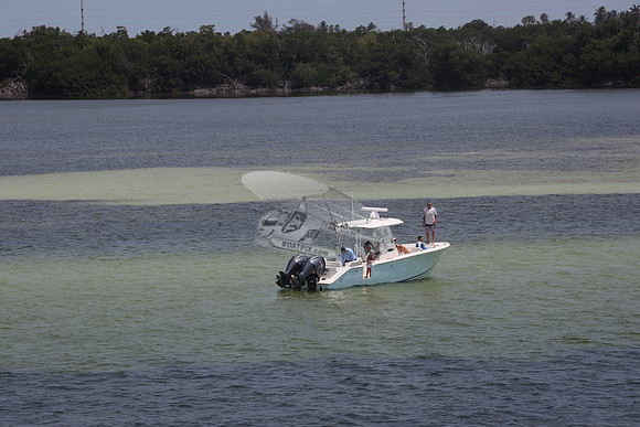 COBIA.2 YAMAHA.9627