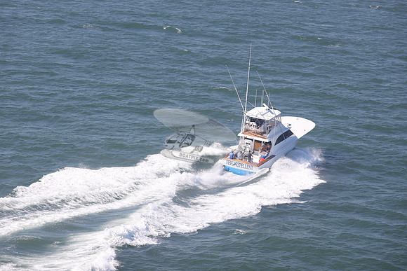 fish repellent.ocean city md.9350