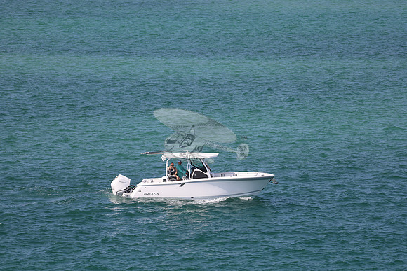 Blackfin.1