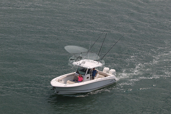 Boston Whaler.330.1
