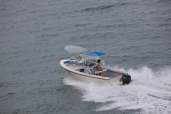 fl1726lv.02