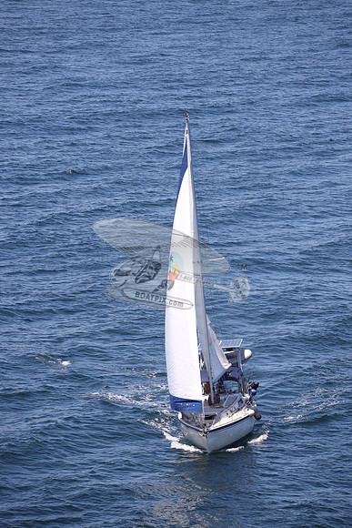 586.CAL 36.17