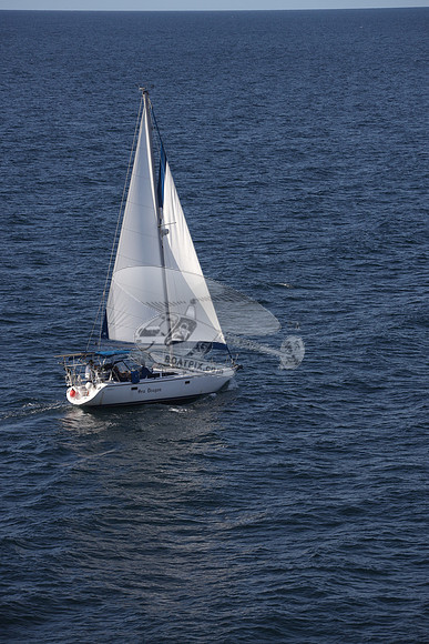 00000.SEA DRAGON.05