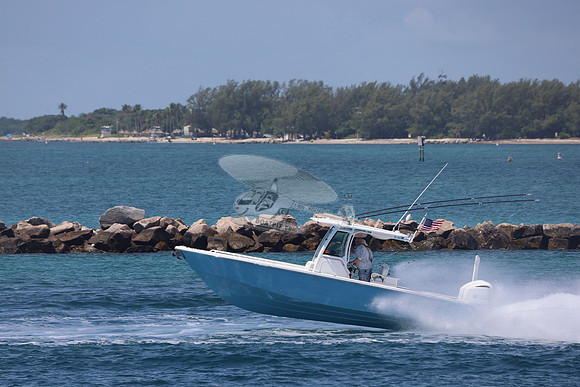 EVERGLADES.BLUE.02