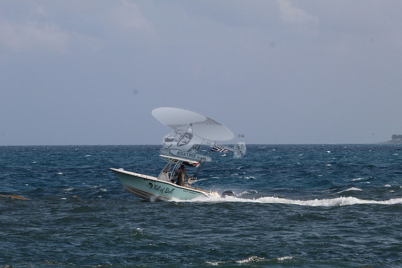fl1368rs.full of bull.1728