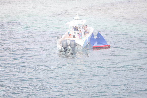 COBIA.103