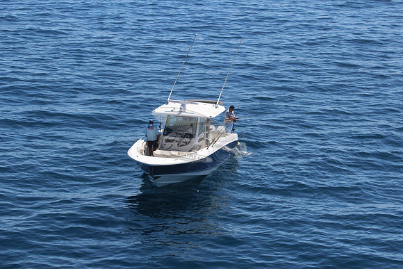 boston whaler.blue hull.3 merc 400.6219