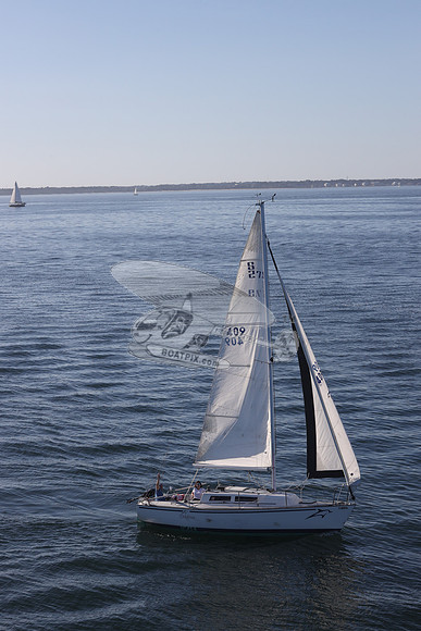 409.DELPHINA.FL6669GL.08