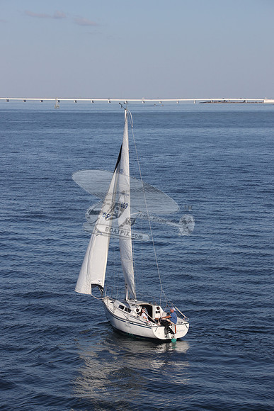 409.DELPHINA.FL6669GL.01