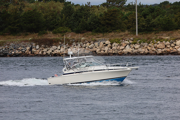 archangel ii.e sandwich ma.5509