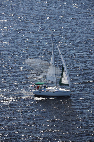 0000.FL8253SX.3623