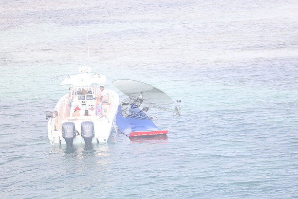 COBIA.105