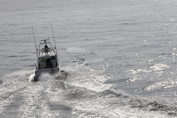 ANGLER MANAGEMENT.FTL.TIARA.02