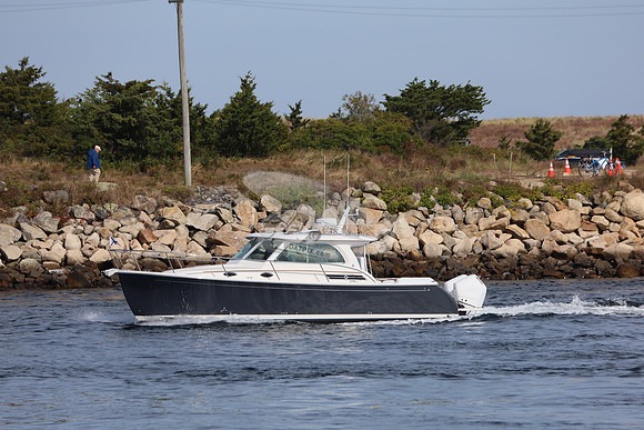beech bound.manchester by the sea.4523