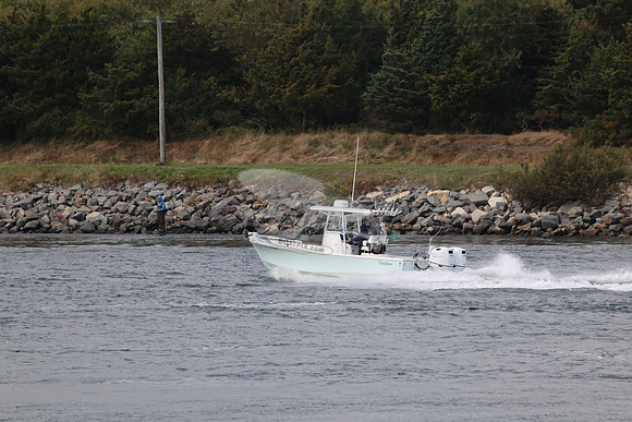 ms7700bv.7