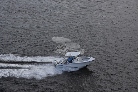 coankar too.sea pro.6
