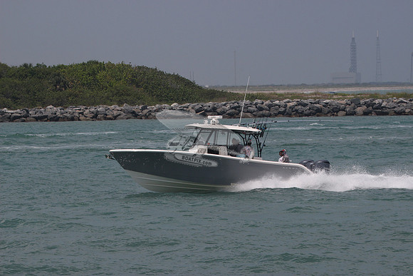 COBIA.GRAY.31
