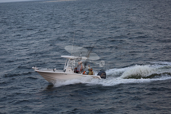 al0477vb.10