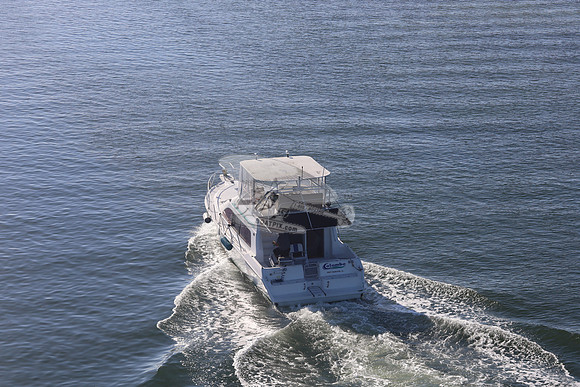 Columbo.port charlotte.1101